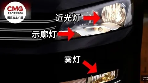 辽宁队5104日陪伴，我的成长与回忆感恩之旅